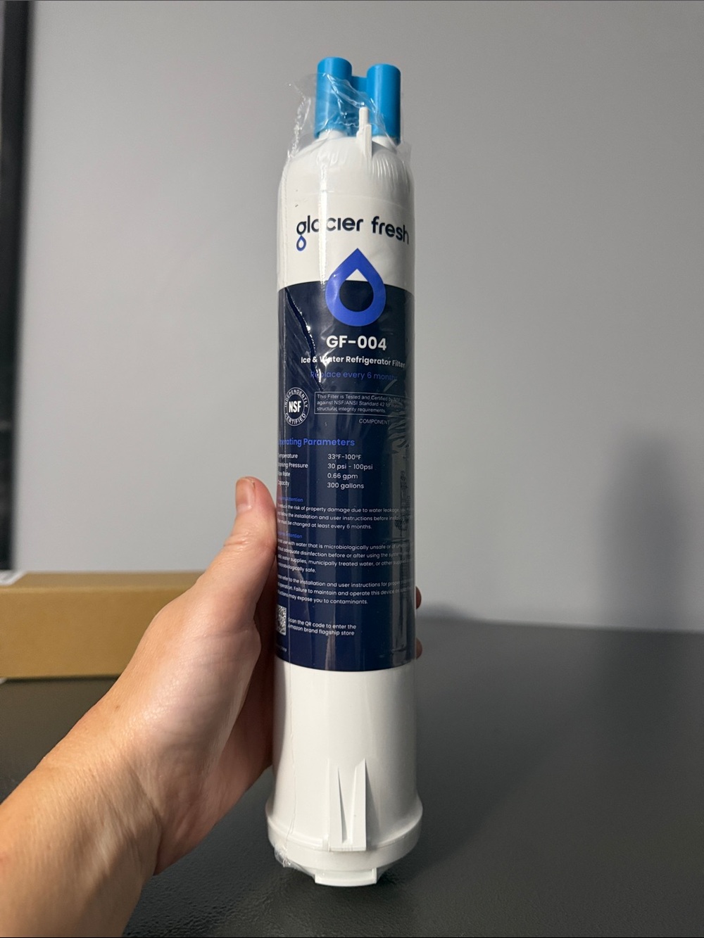 GF-004 White & Blue Refrigerator Water Filter